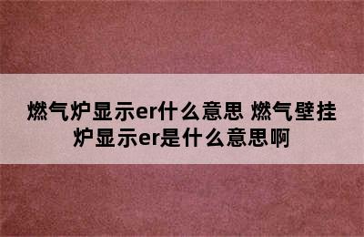 燃气炉显示er什么意思 燃气壁挂炉显示er是什么意思啊